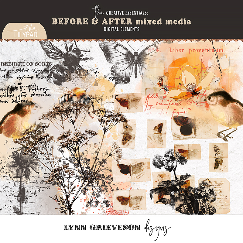 Before and After Digital Scrapbooking Mixed Media