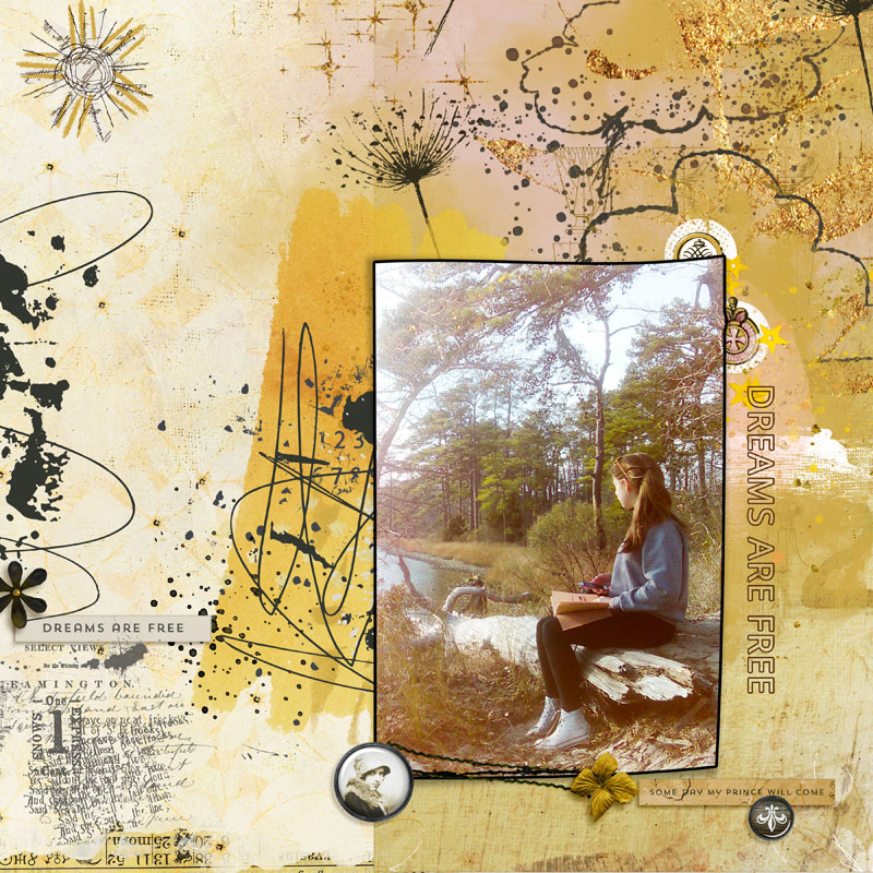Dreams Are Free Digital Scrapbooking Mixed Media Elements - Image 6