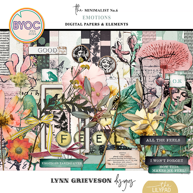 Emotions Kit by Lynn Grieveson