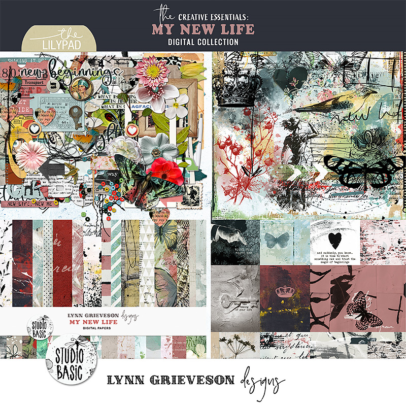 My New Life Journal Cards by Studio Basic and Lynn Grieveson - Image 3