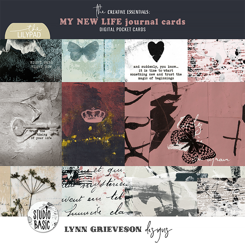 My New Life Collection by Studio Basic and Lynn Grieveson - Image 5