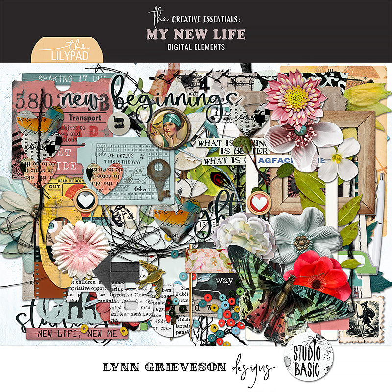 My New Life Collection by Studio Basic and Lynn Grieveson - Image 6