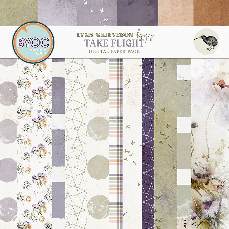 Take Flight Digital Scrapbooking Paper Pack