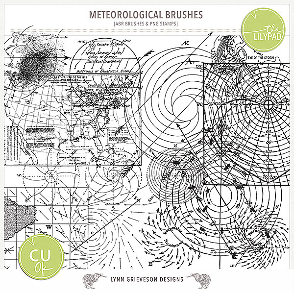 CU Meteorological brushes