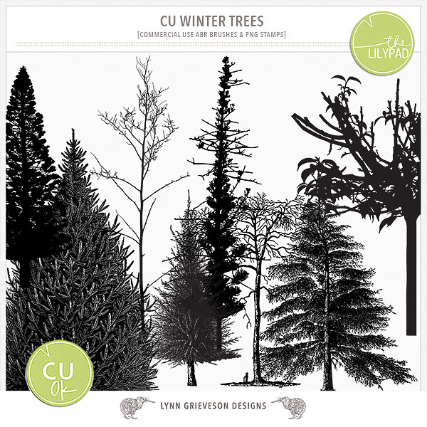 CU Winter Trees