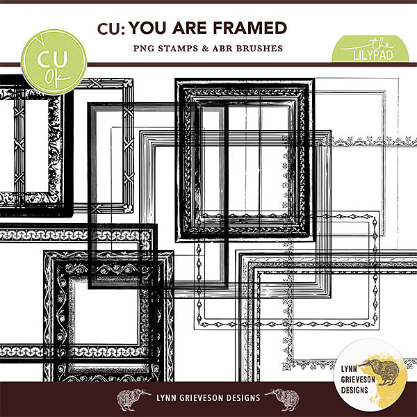 CU You Are Framed