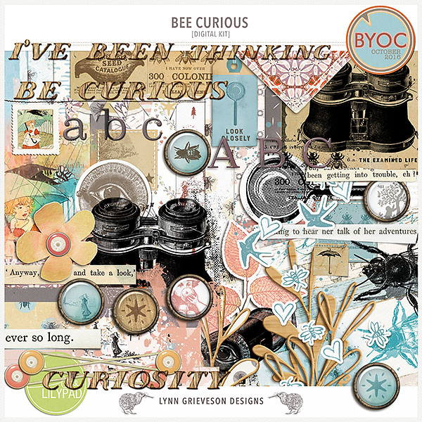 Bee Curious Kit