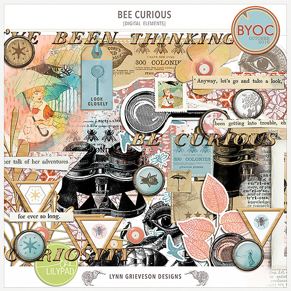 Bee Curious Elements