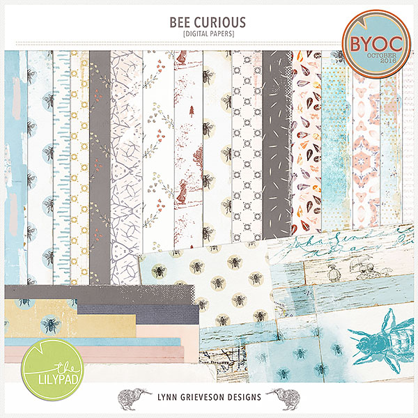Bee Curious Kit - Image 7