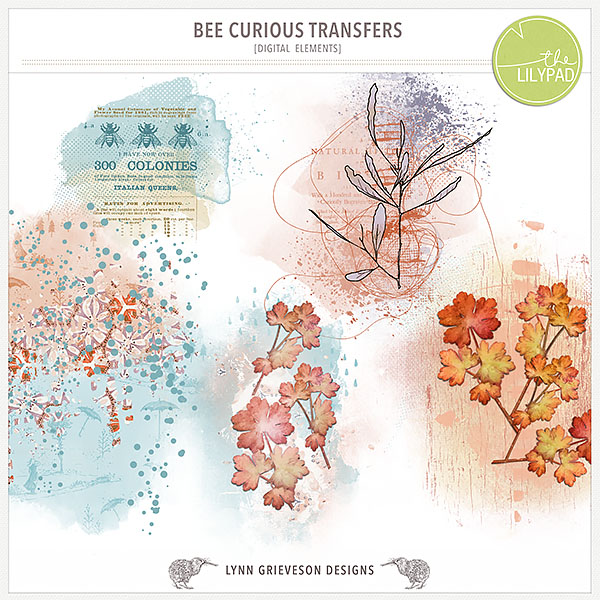 Bee Curious Transfers
