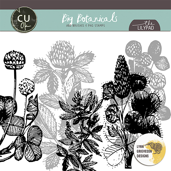 Big Botanicals brushes and stamps