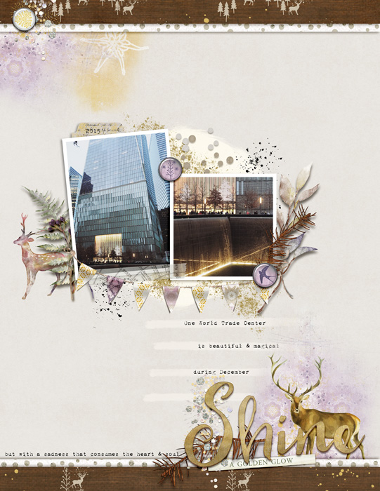First Light Papers - Image 5