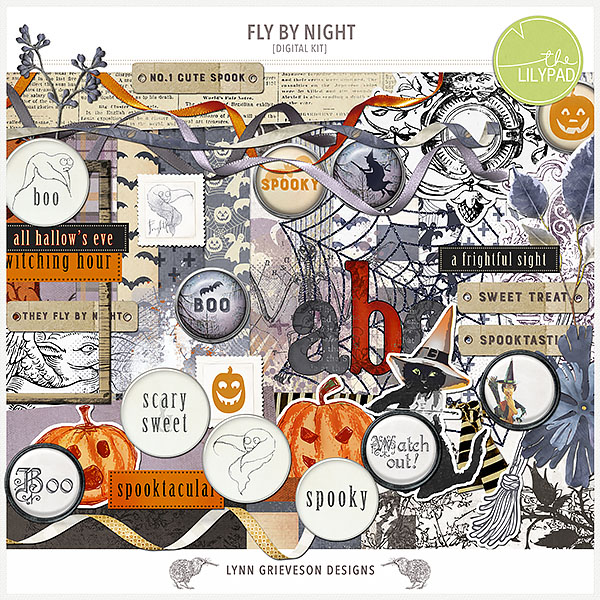 Fly by Night Kit