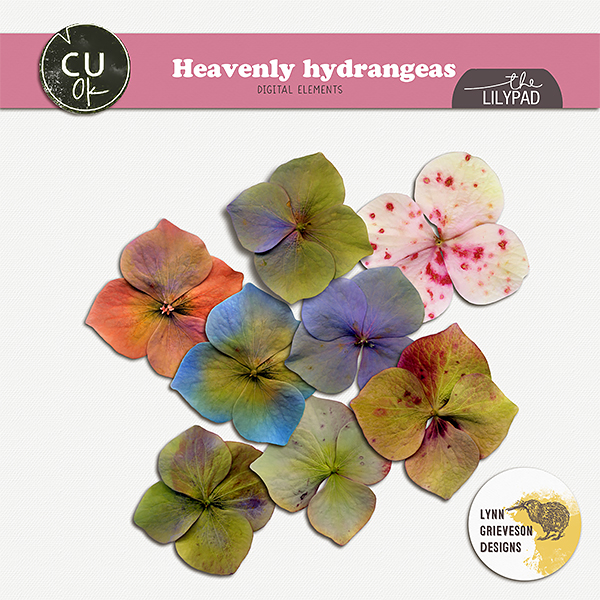 Heavenly Hydrangeas