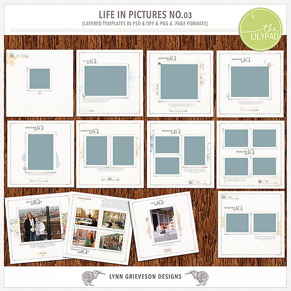 Life in Pictures Album No3