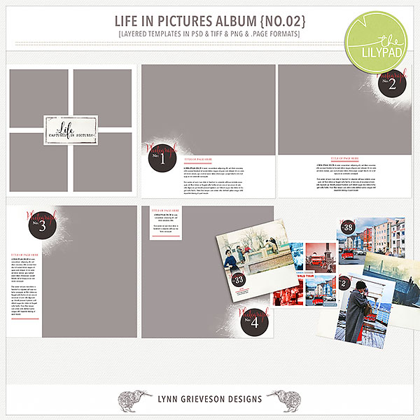 Life in Pictures Album No2