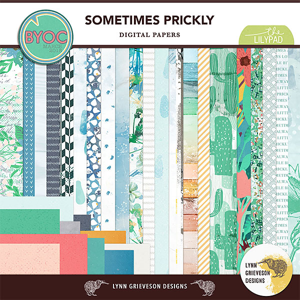 Sometimes Prickly Paper Pack
