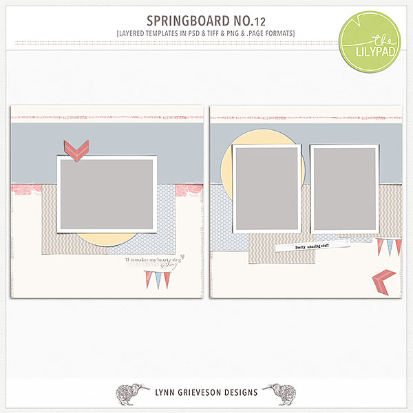 Springboard templates No.12