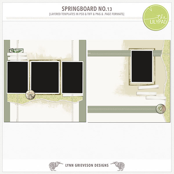 Springboard templates No.13
