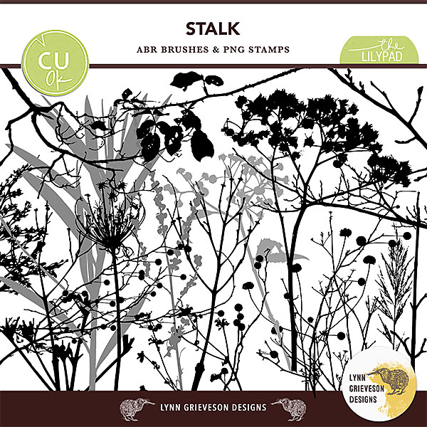 Stalk