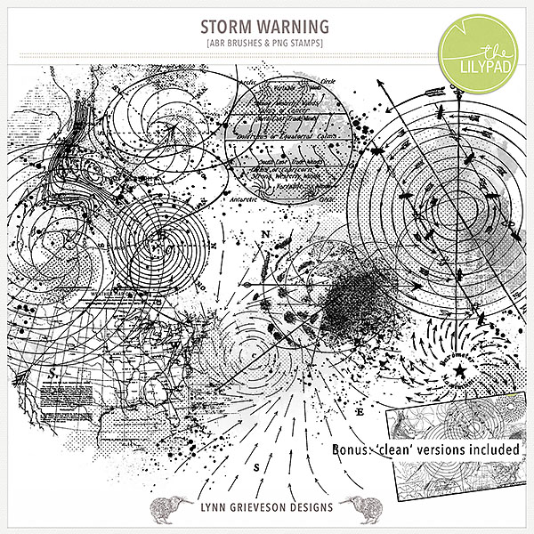 Storm Warning Brushes