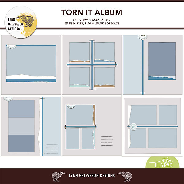Torn It template album