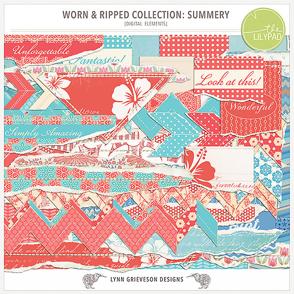 Worn and Ripped Collection Summery