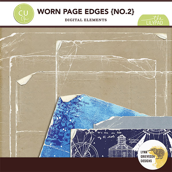Worn Page Edges No2
