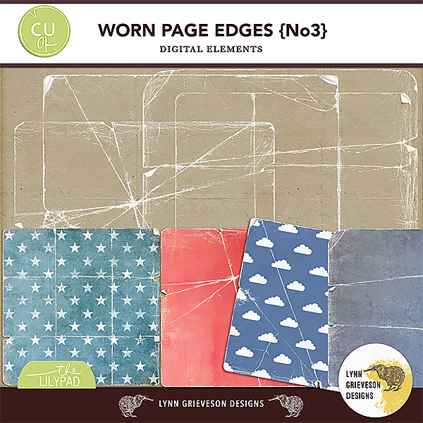 Worn Page Edges No3
