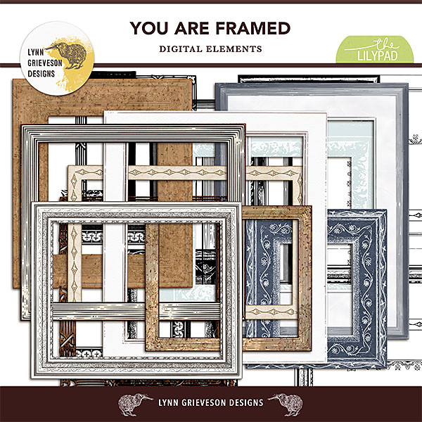 You are framed