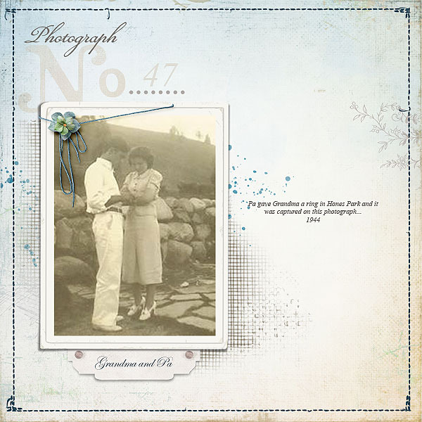 Life in Pictures Album No1 - Image 9