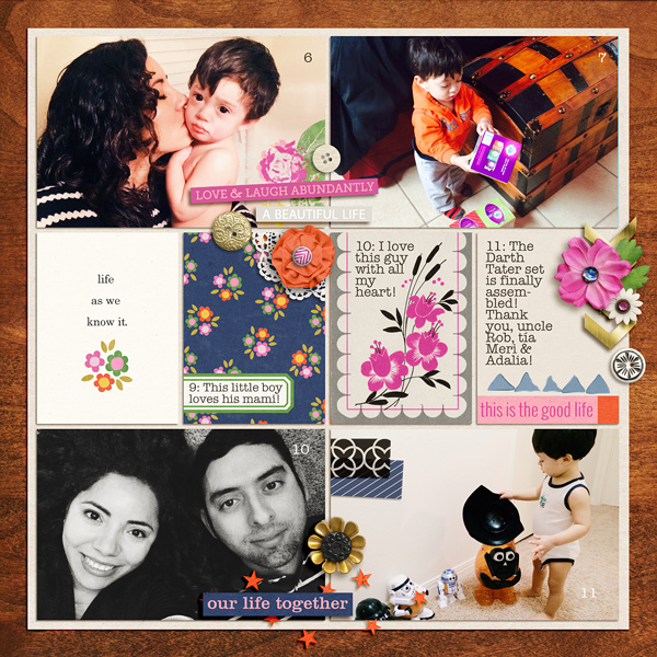 Life As We Know It (Kit) - Image 8