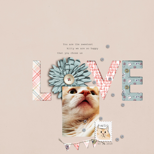 Love Cats Element Pack - Image 9