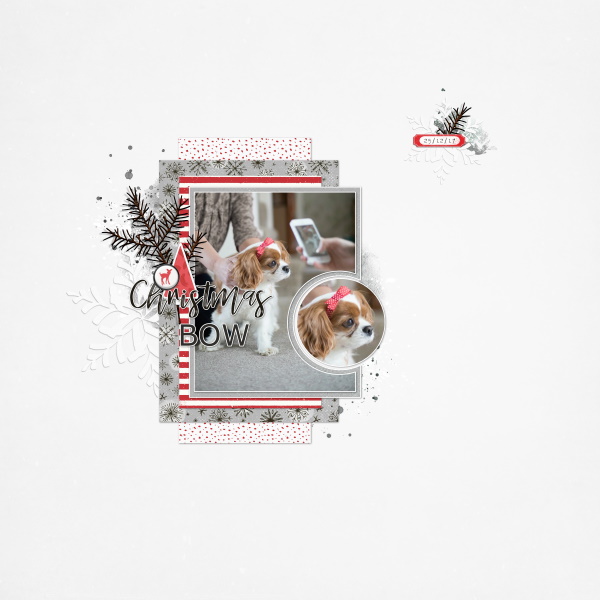 Lumi Collection - Image 10