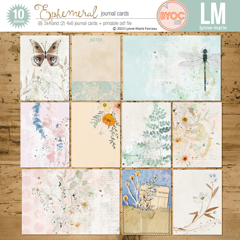 Ephemeral journal cards