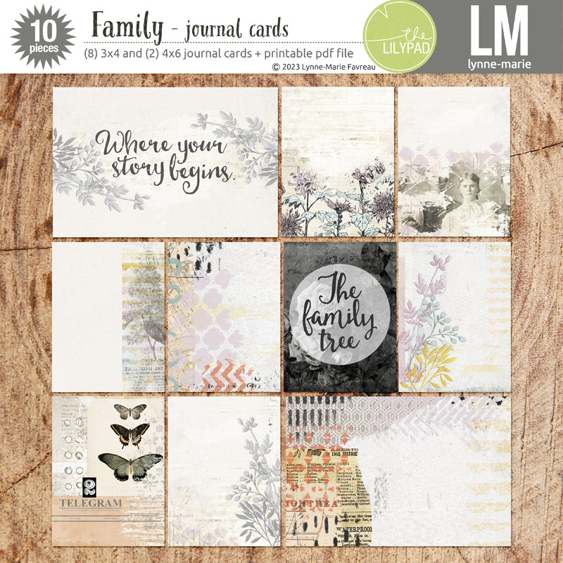 Family /bundle/ - Image 4