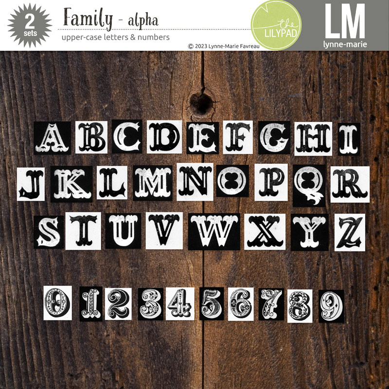 Family /bundle/ - Image 7