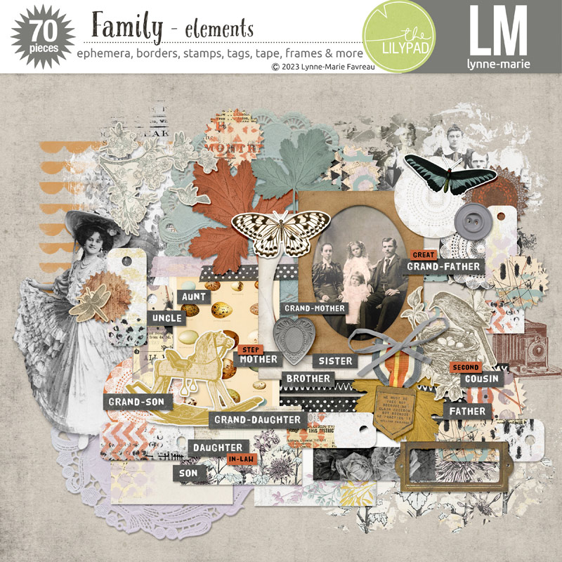Family /bundle/ - Image 2