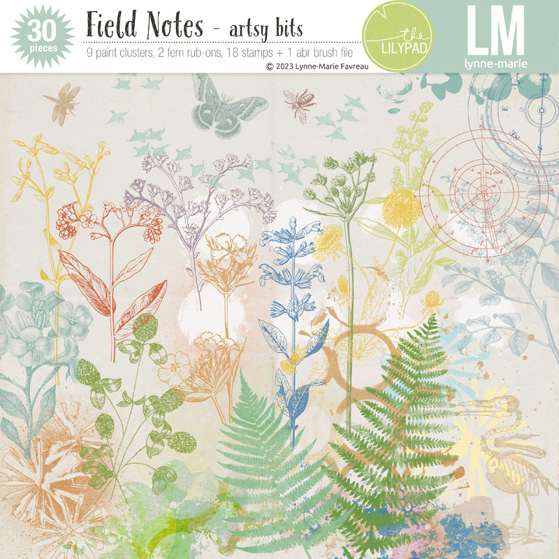 Field Notes artsy bits