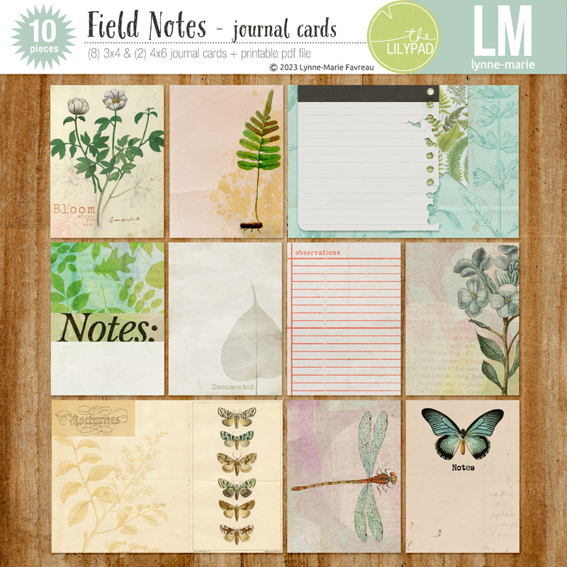 Field Notes journal cards