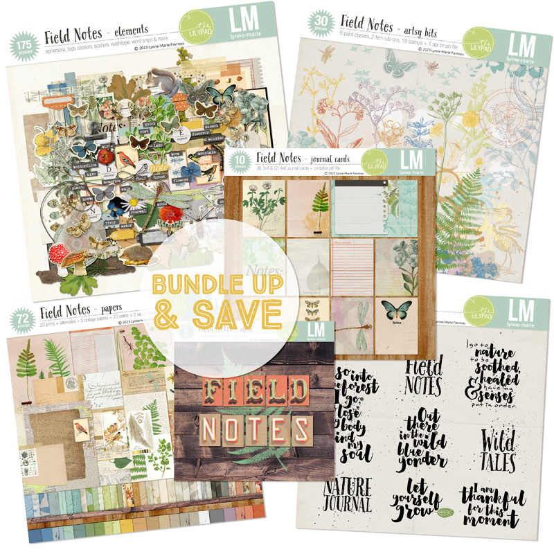 Field Notes bundle