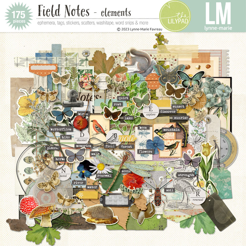 Field Notes elements