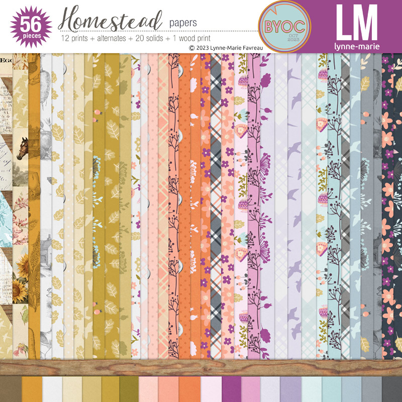 Homestead papers