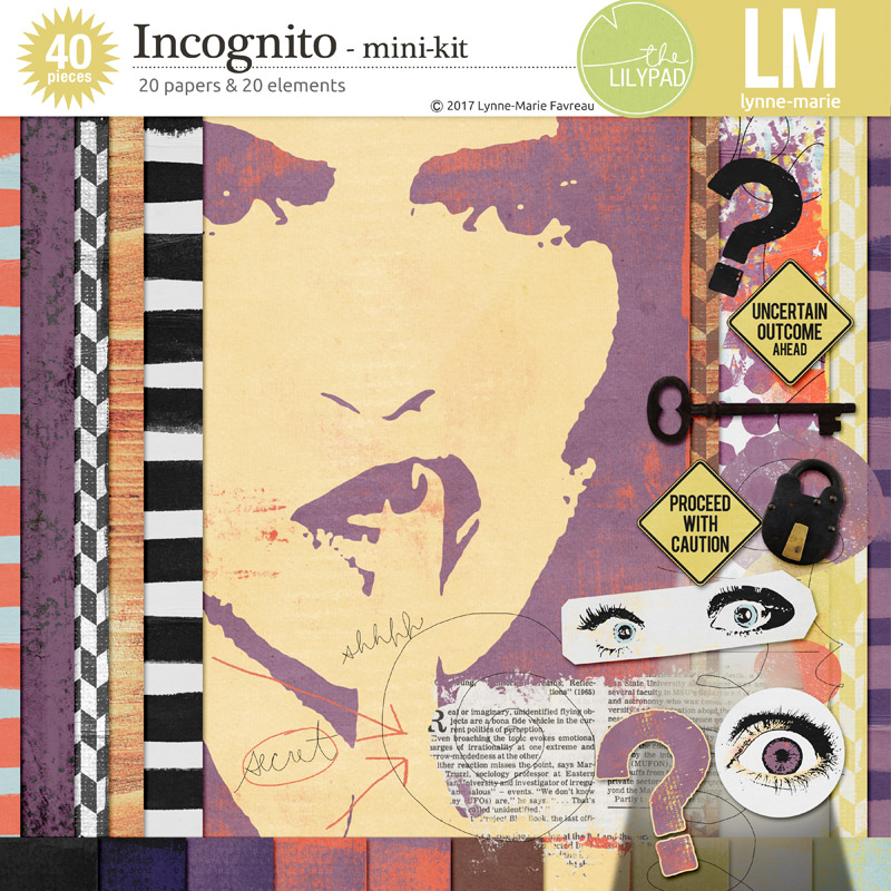 Incognito /bundle/ - Image 2