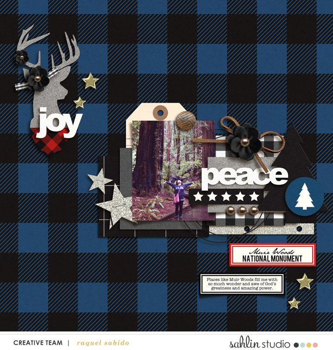 mad for plaid (elements) - Image 2