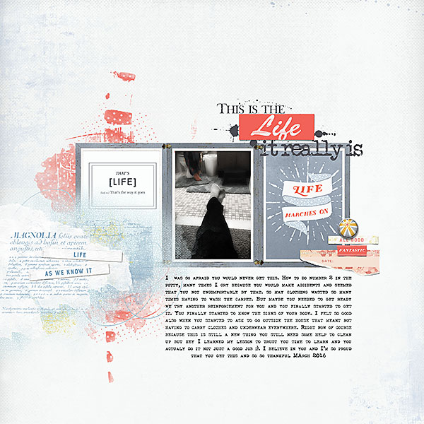 March of Life Cards - Image 4