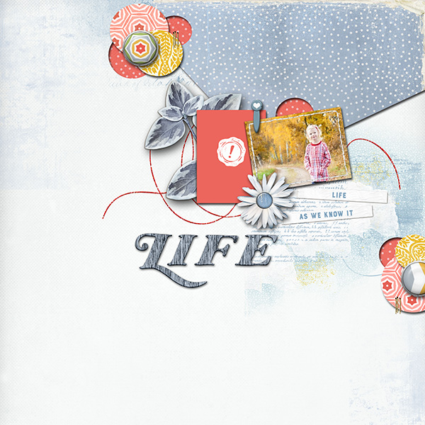 March of Life Cards - Image 5