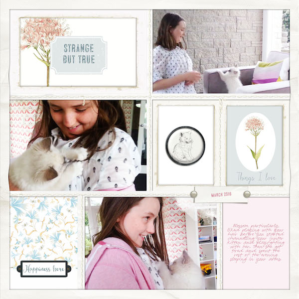 Mystery Journal Cards - Image 4