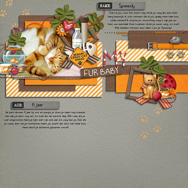 Fur Babies - Kitty Cats - Image 4