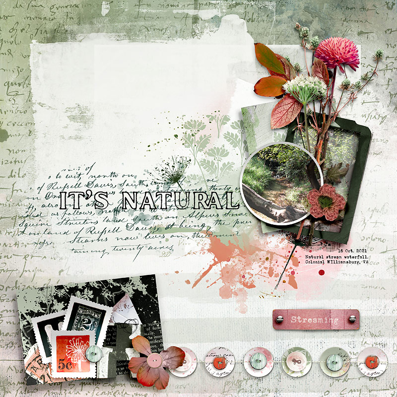 Natura Digital Scrapbooking Collection by Lynn Grieveson - Image 8